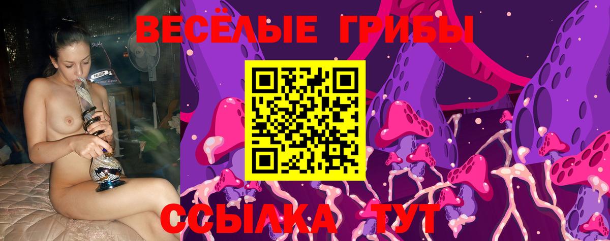 Галлюциногенные грибы Psilocybine cubensis Майский