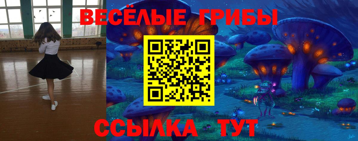 Майский  Галлюциногенные грибы мицелий  Вход с VPN  Галлюциногенные грибы GOLDEN TEACHER 